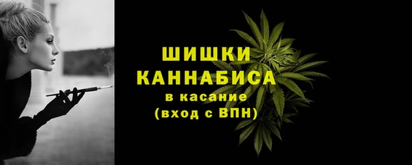 ПСИЛОЦИБИНОВЫЕ ГРИБЫ Новодвинск