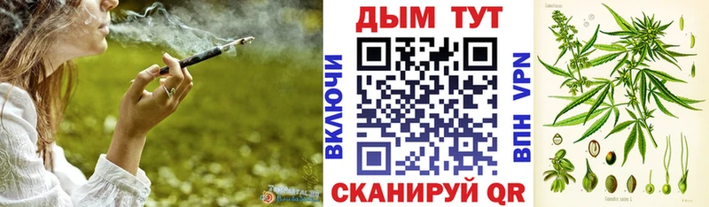 Бошки Шишки планчик  Канск 